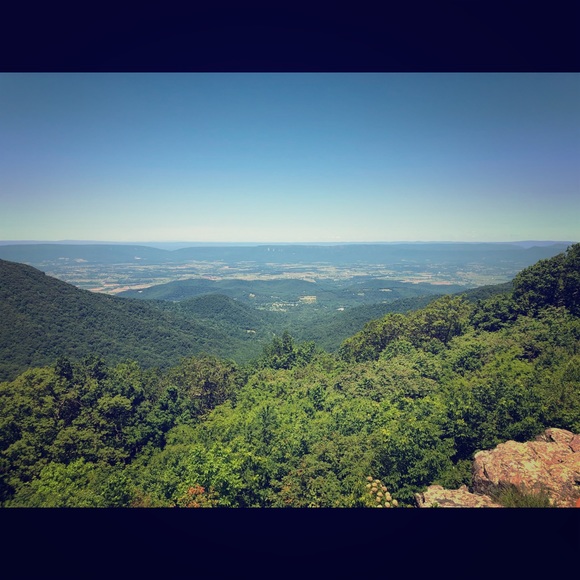 Meet your Posher, Samantha - Picture 1 of 1